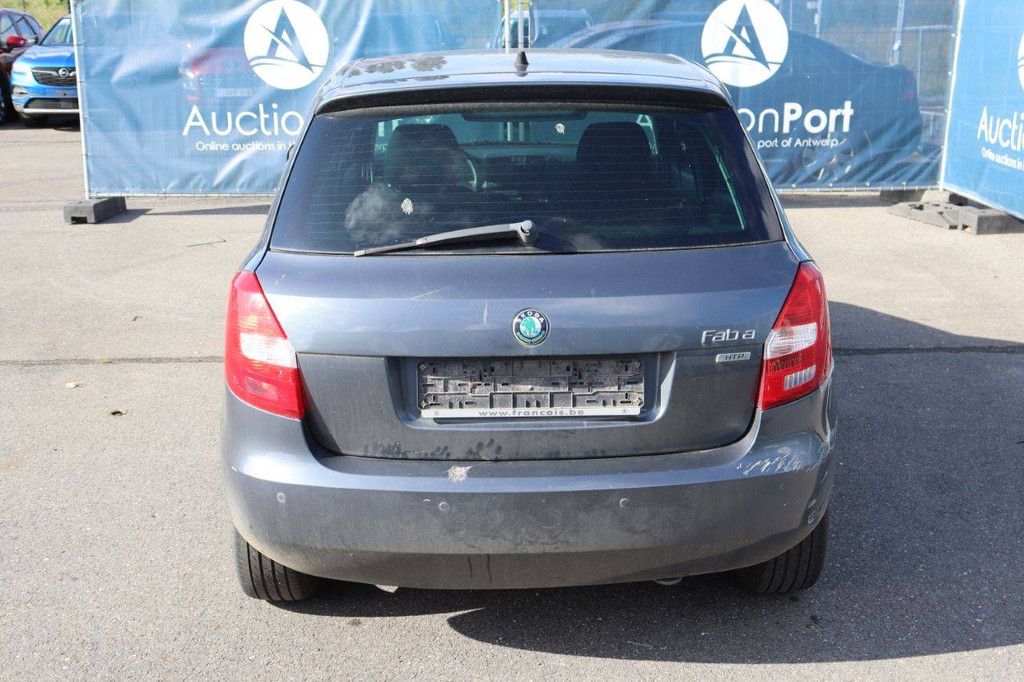 Passenger car Skoda Fabia Petrol 60hp 2012 (Margin)