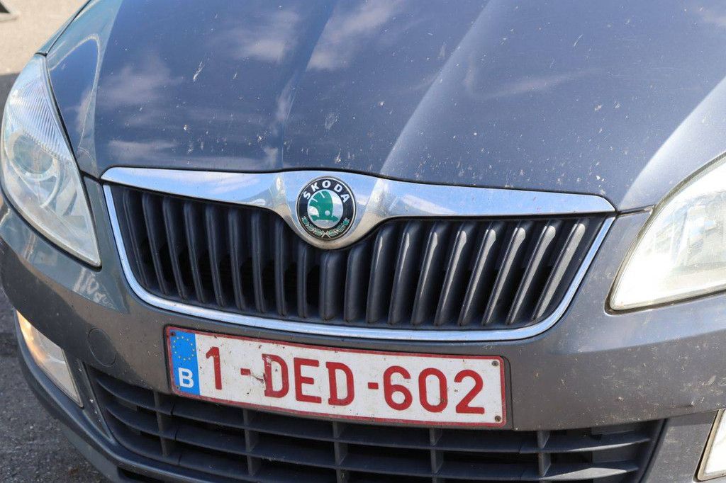 Passenger car Skoda Fabia Petrol 60hp 2012 (Margin)