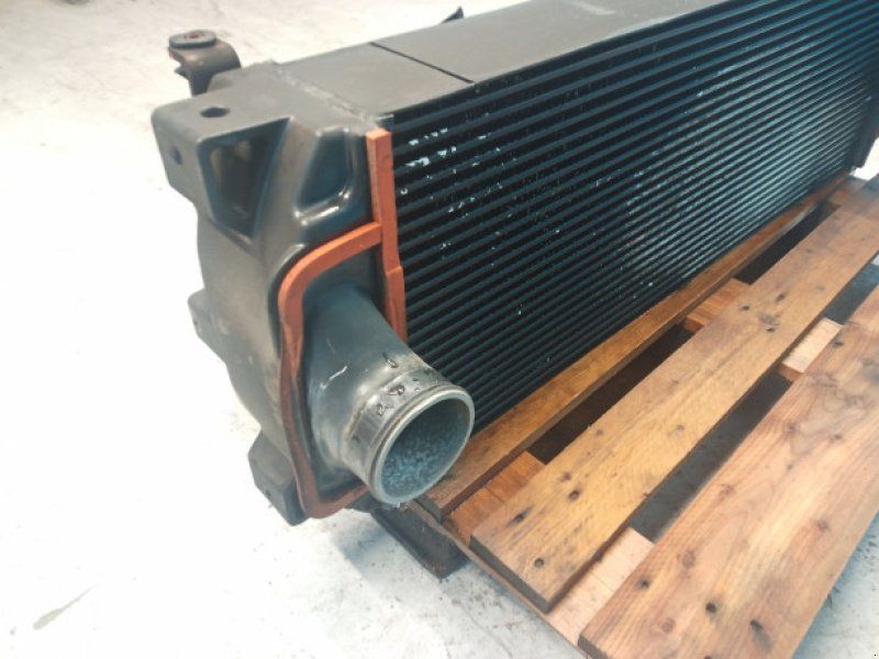 Case 8010