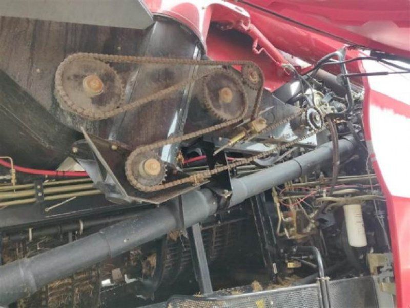 Case 8010