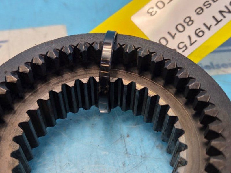 Case 8010