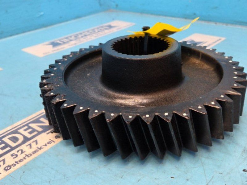 Case 8010