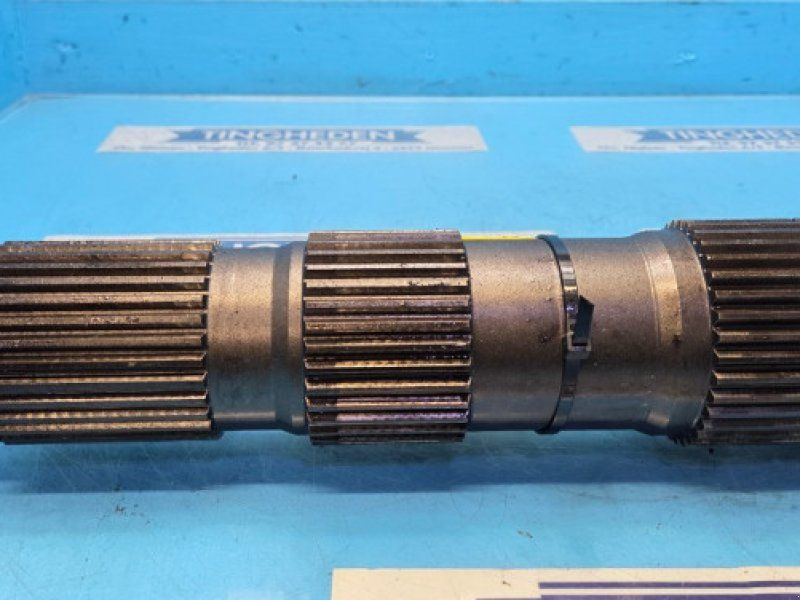 Case 8010