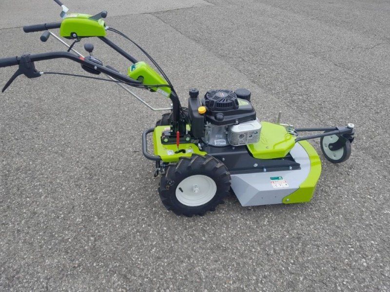 Grillo CL 62M