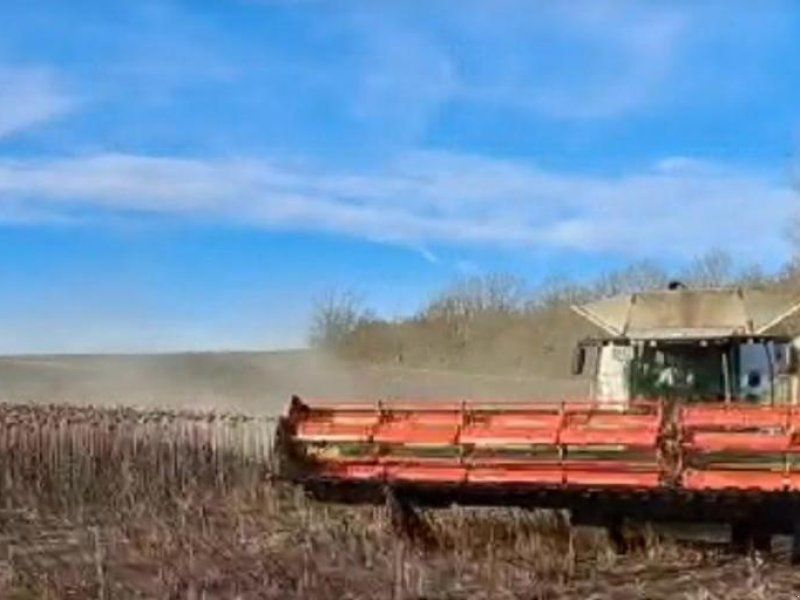 Claas Sonnblumenschneidwerk V1200 mit Wagen