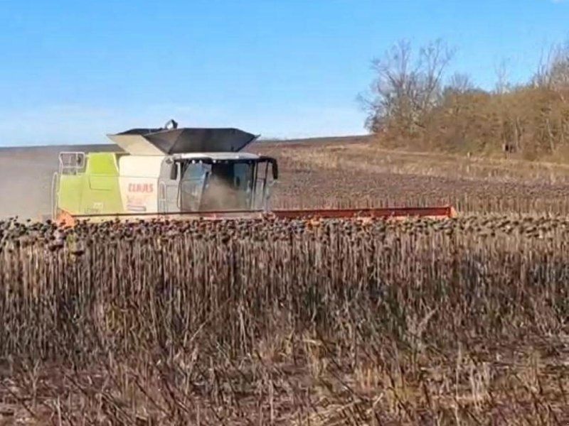 Claas Sonnblumenschneidwerk V1200 mit Wagen