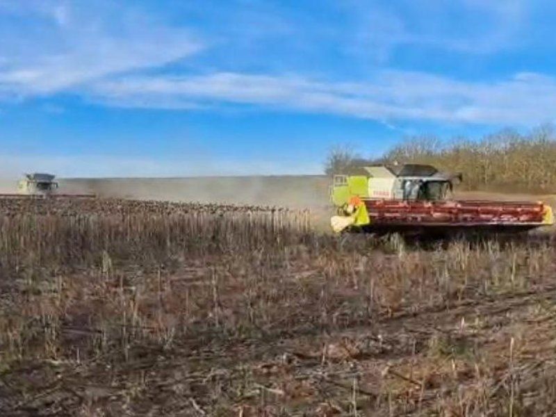 Claas Sonnblumenschneidwerk V1200 mit Wagen
