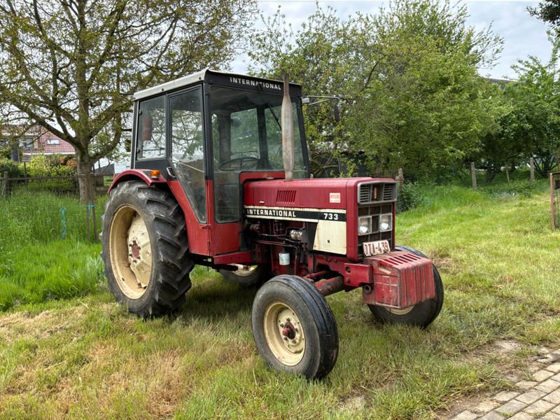 1982 international 733 F Oldtimer Traktor