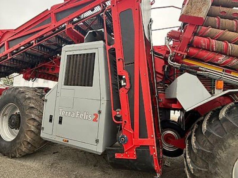 Holmer Terra Felis 2