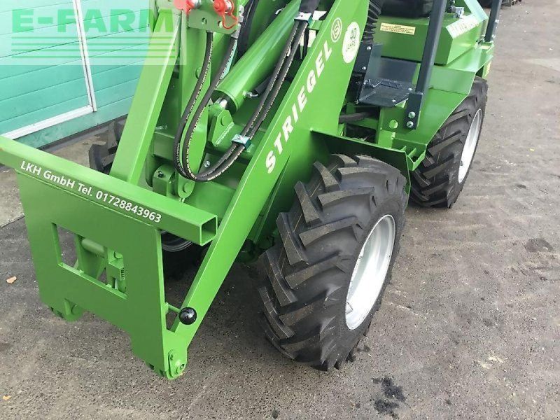 Striegel 180 ya