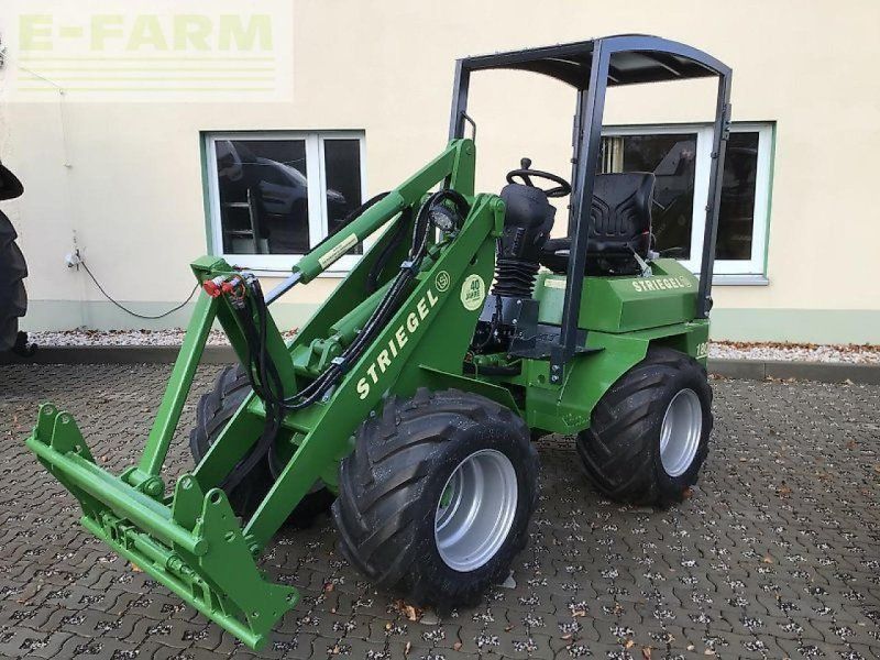Striegel 305