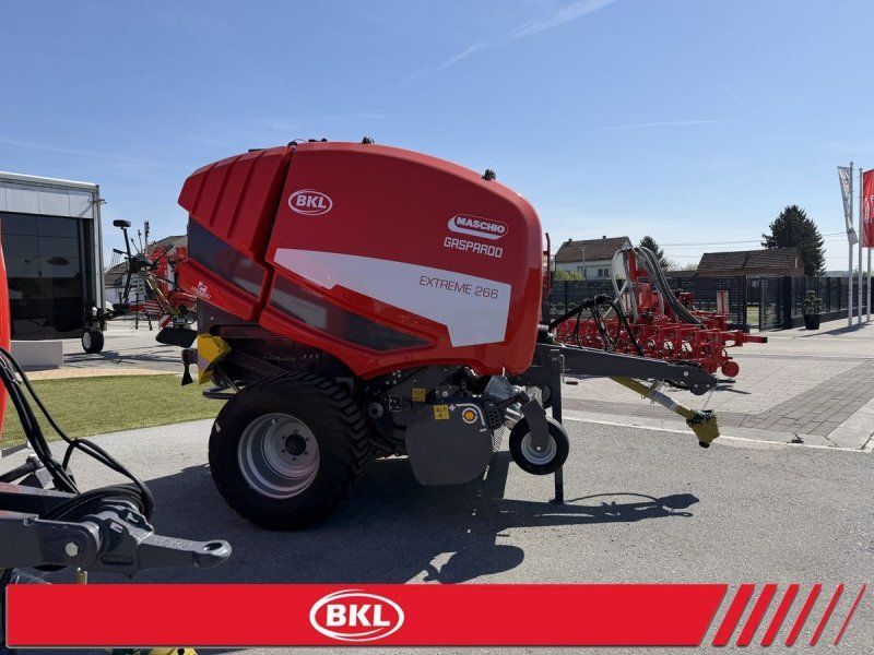 Maschio treme 266 HTC