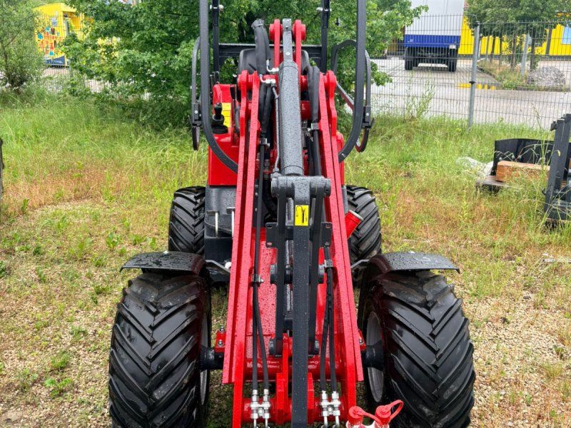 Schäffer 2024 S