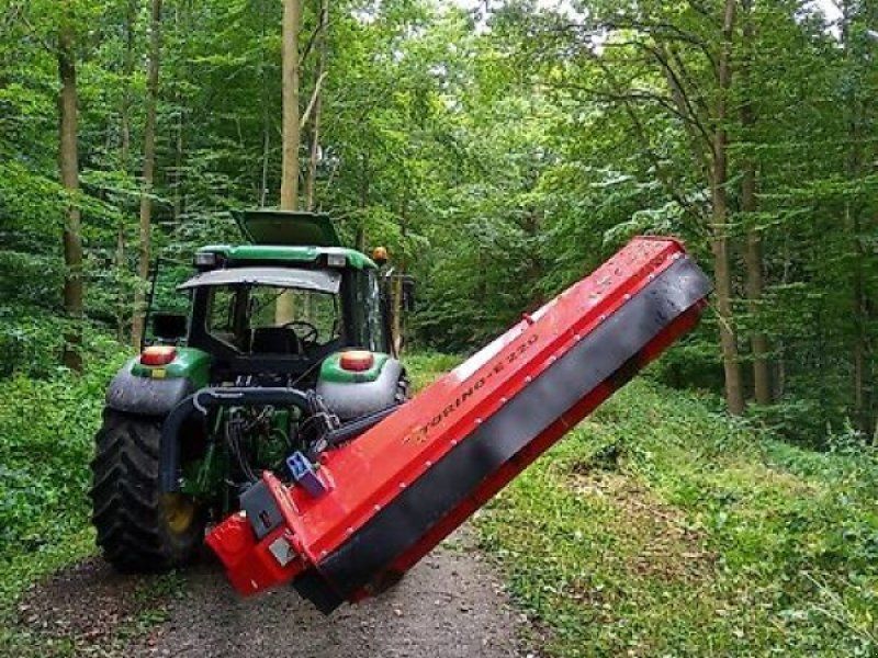 Omarv Böschungs Seiten Schlegel