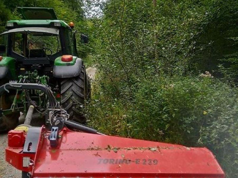 Omarv Böschungs Seiten Schlegel
