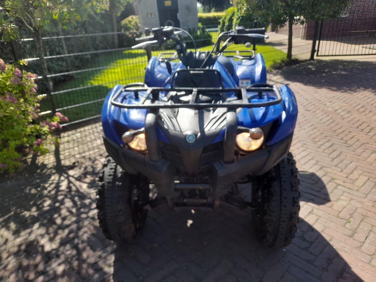 Yamaha Grizzly