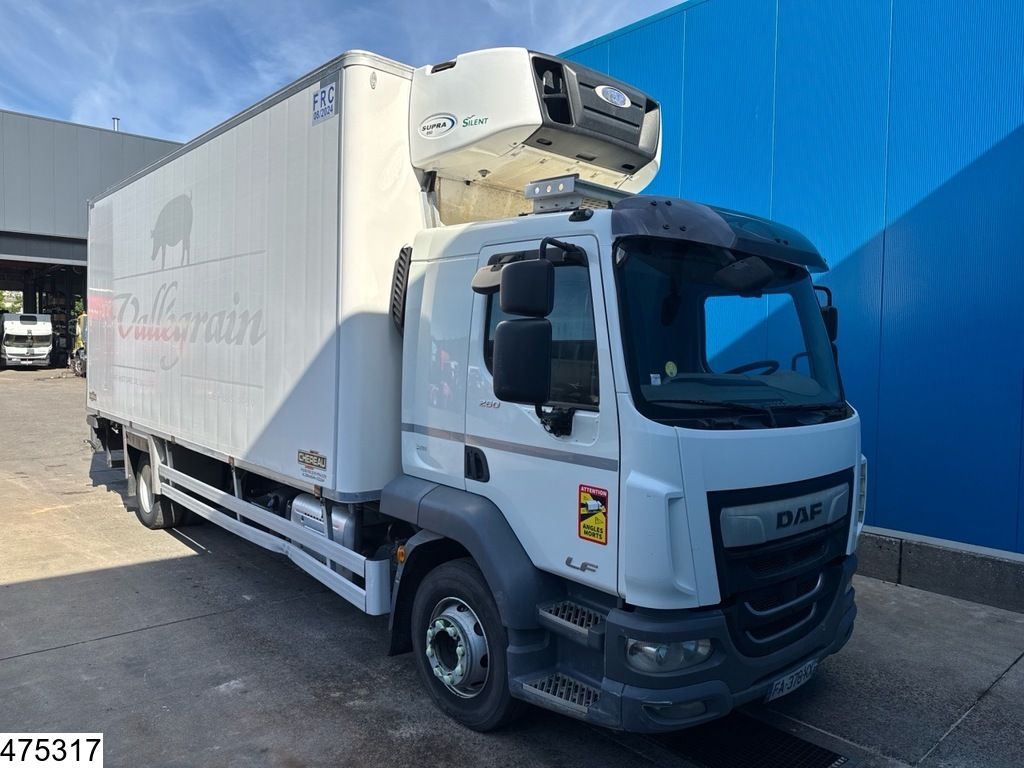 DAF LF 260 EURO 6, ACC, Carrier, Meat, Viande, Carne