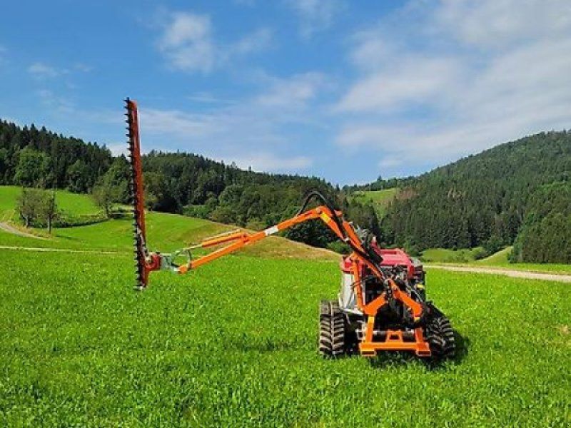 Rinieri Heckenschere Ausleger Schere mit Arm Heckenschneider
