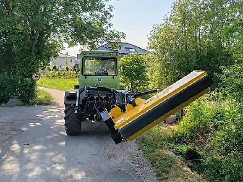 Omarv Böschungs Seiten Schlegel