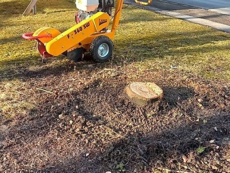 Laski Baumstumpffräse Stubbenfräse Fräse Wurzelstockfräse F 360