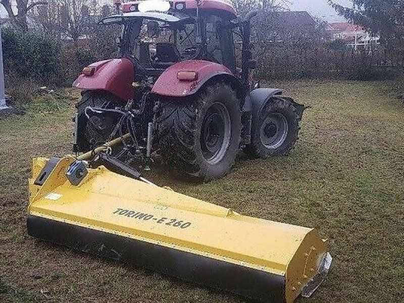 Omarv Böschungs Seiten Schlegel