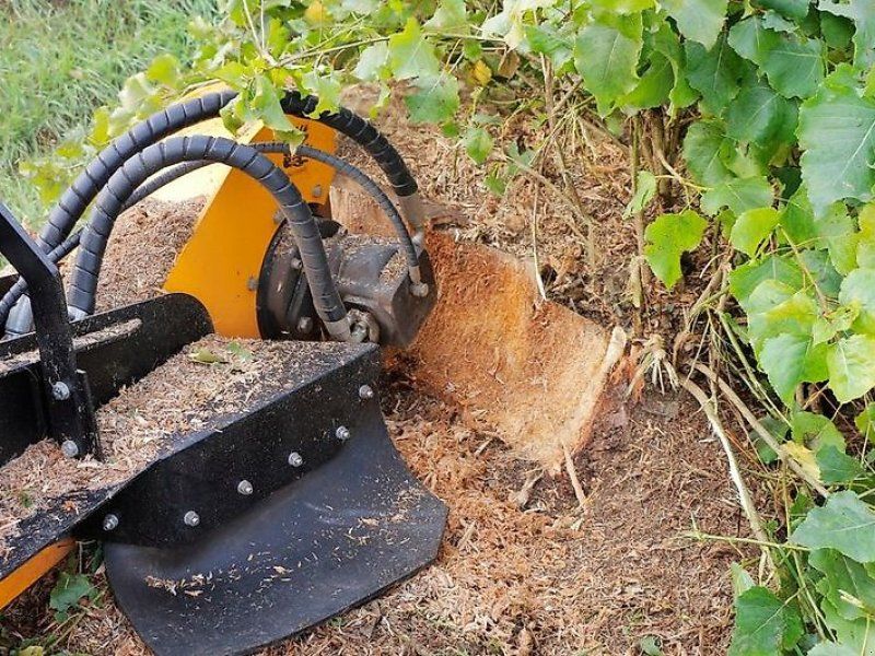 Laski Stubbenfräse Wurzelstockfräse Stockfräse Baumstumpffräse