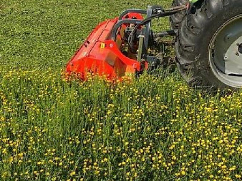 B&M ML-200 H Schlegel Mäher Heckmulche