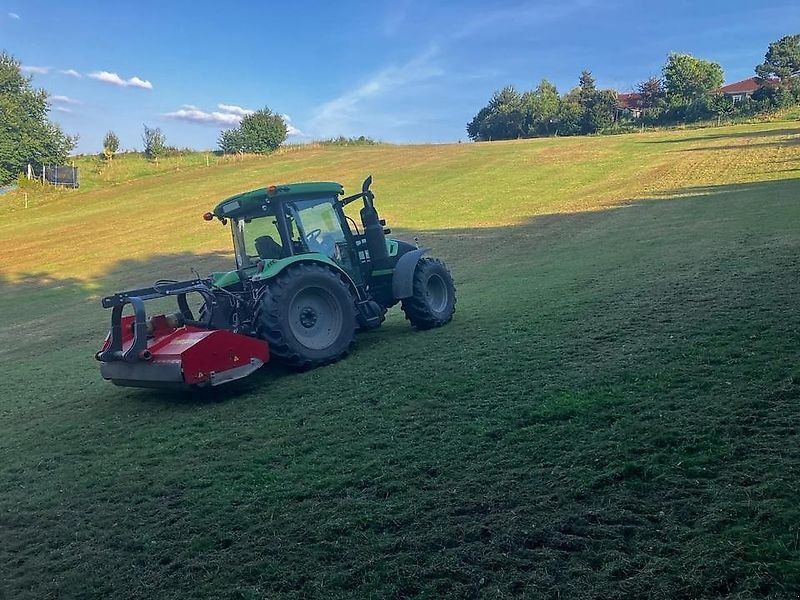 Omarv Schlegel  Front  Cuneo 280HH