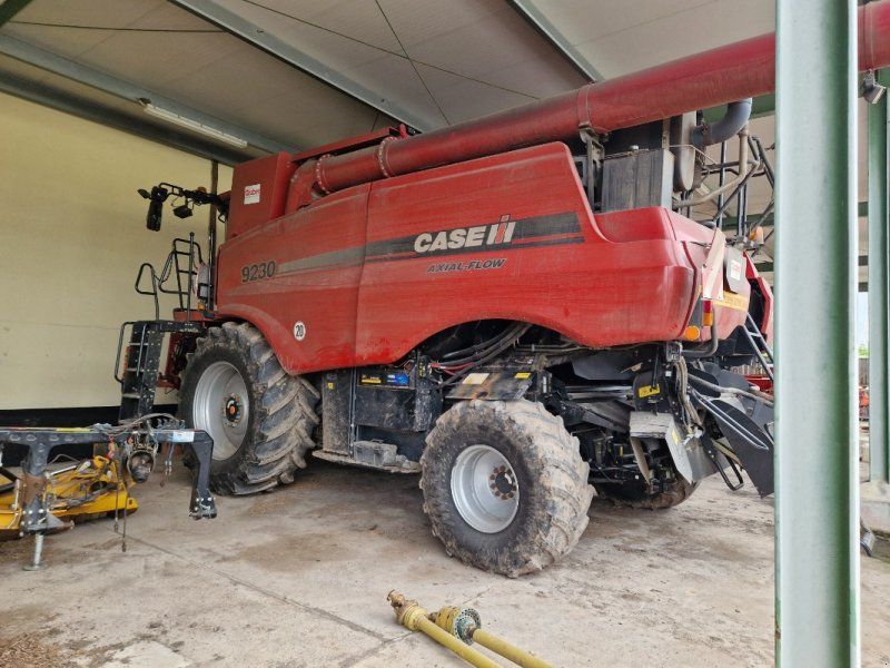 Case IH 9230 mit SW+ SWW+ Sonnenblumen-SW