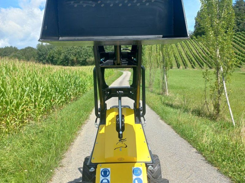 N520