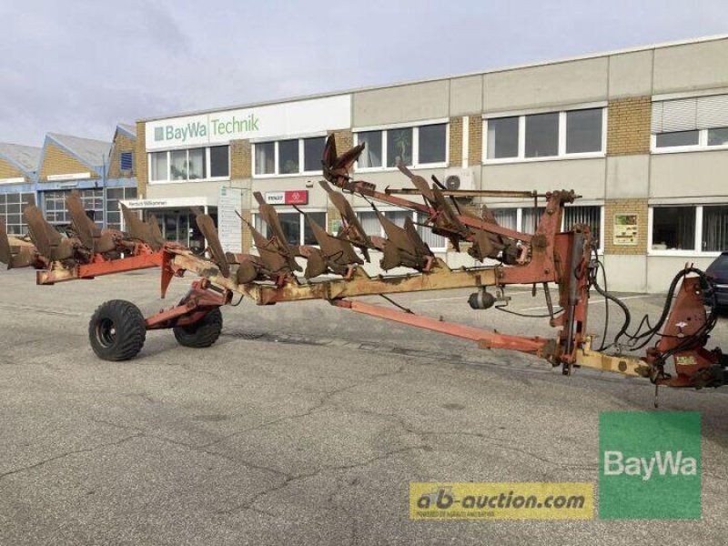 Kuhn 7 Schar