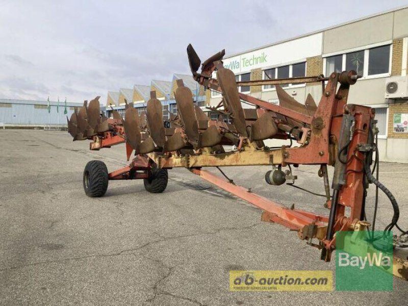Kuhn 7 Schar