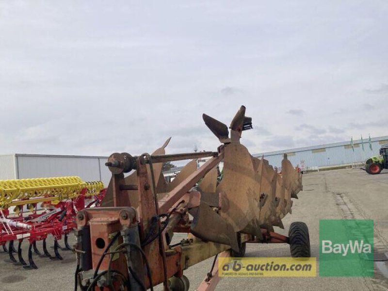 Kuhn 7 Schar