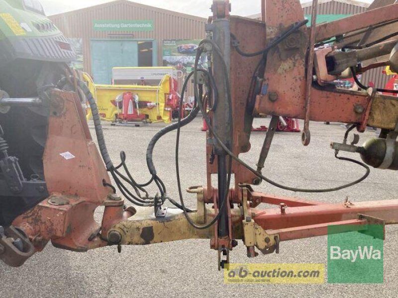 Kuhn 7 Schar