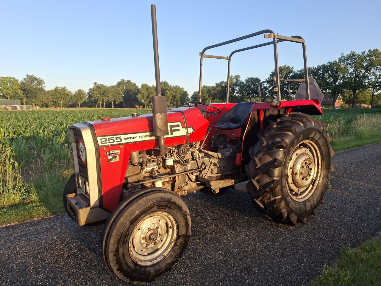 Massey Ferguson 255 | NL Kenteken | Weinig uren
