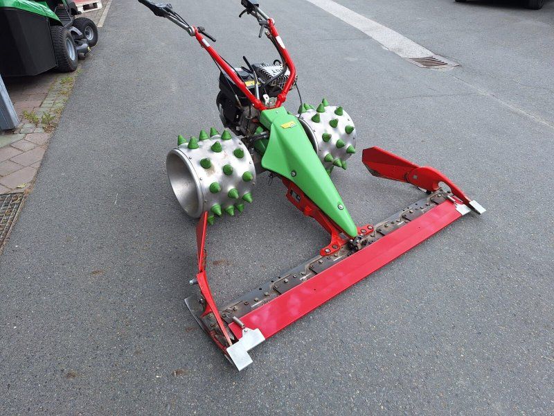 Rapid Rex