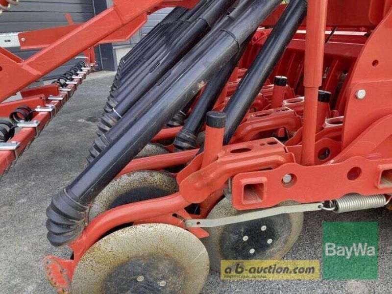 Maschio DM CLASSIC DAMA COR 24 300