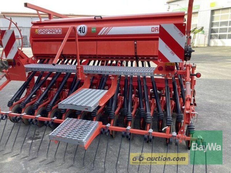 Maschio DM CLASSIC DAMA COR 24 300