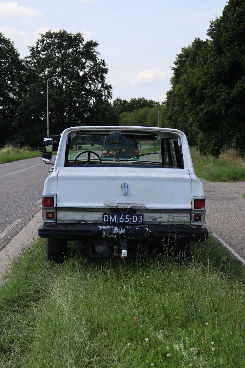 Jeep Wagoneer Petrol 1969 (Margin)