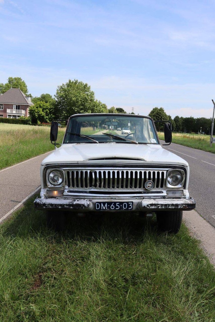 Jeep Wagoneer Petrol 1969 (Margin)