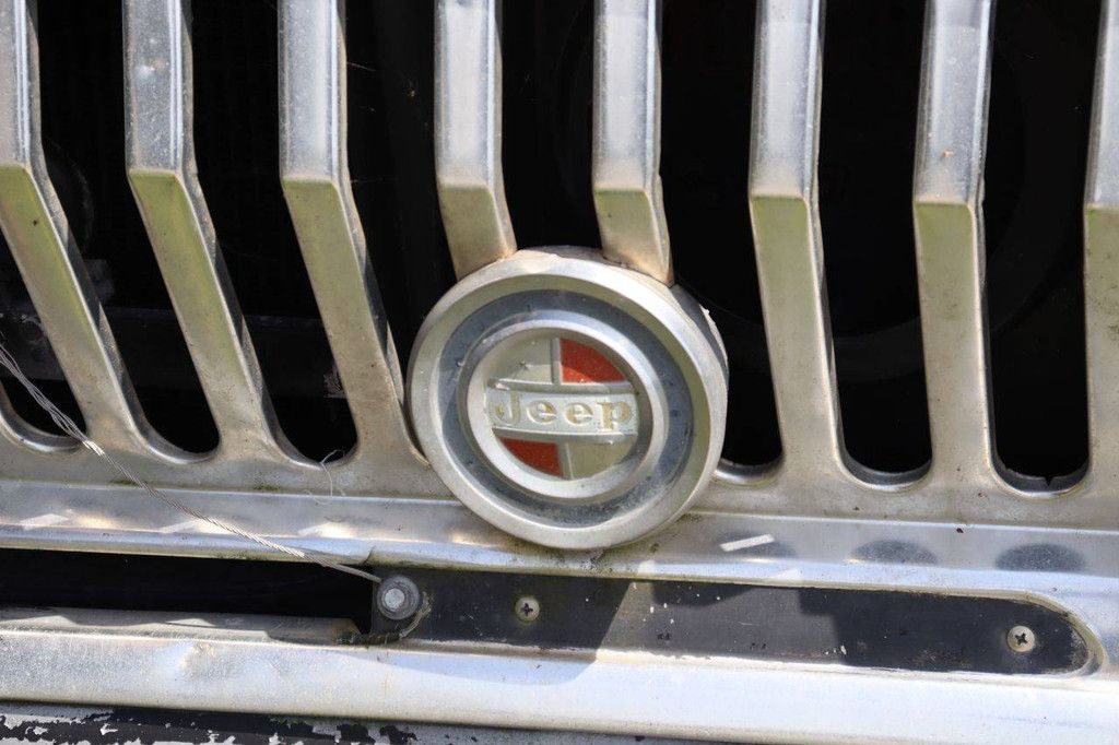 Jeep Wagoneer Petrol 1969 (Margin)