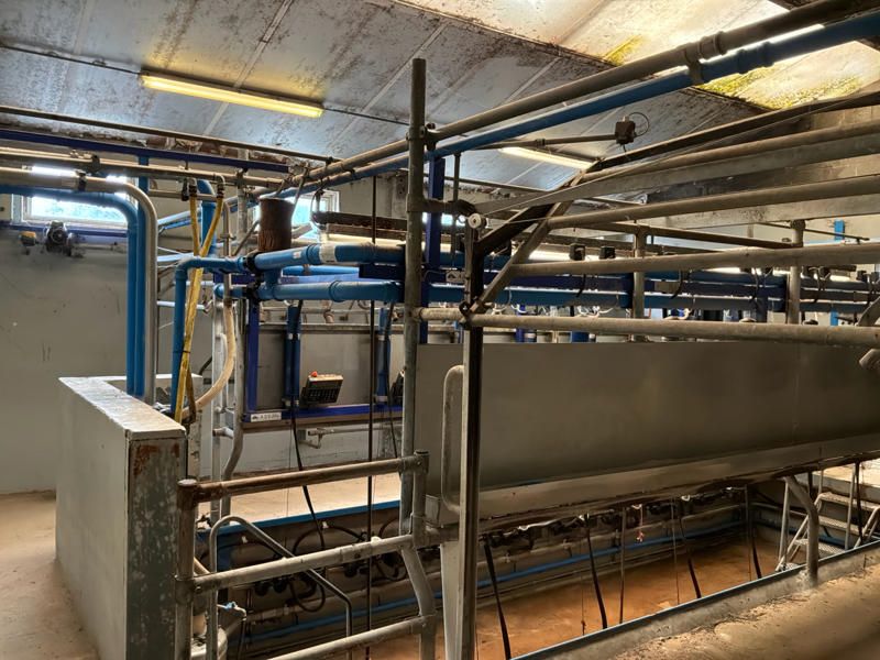 Alfa Laval 2x8 Melkstandausstattung