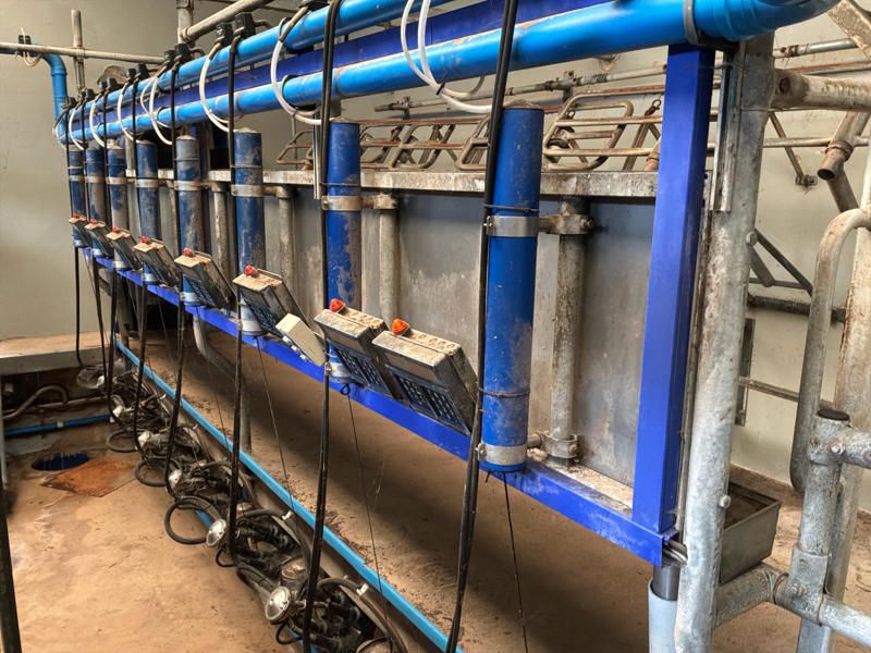 Alfa Laval 2x8 Melkstandausstattung