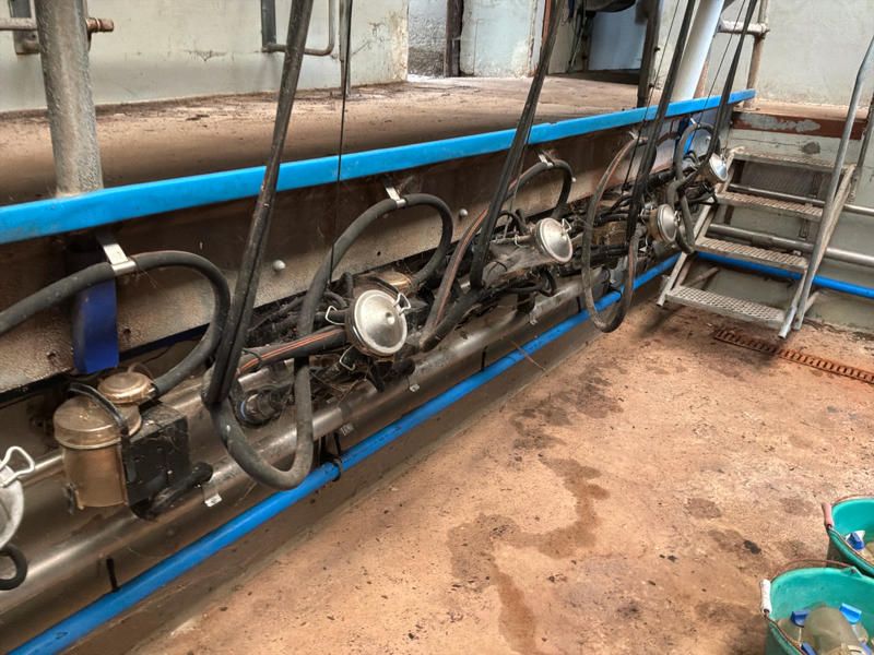 Alfa Laval 2x8 Melkstandausstattung