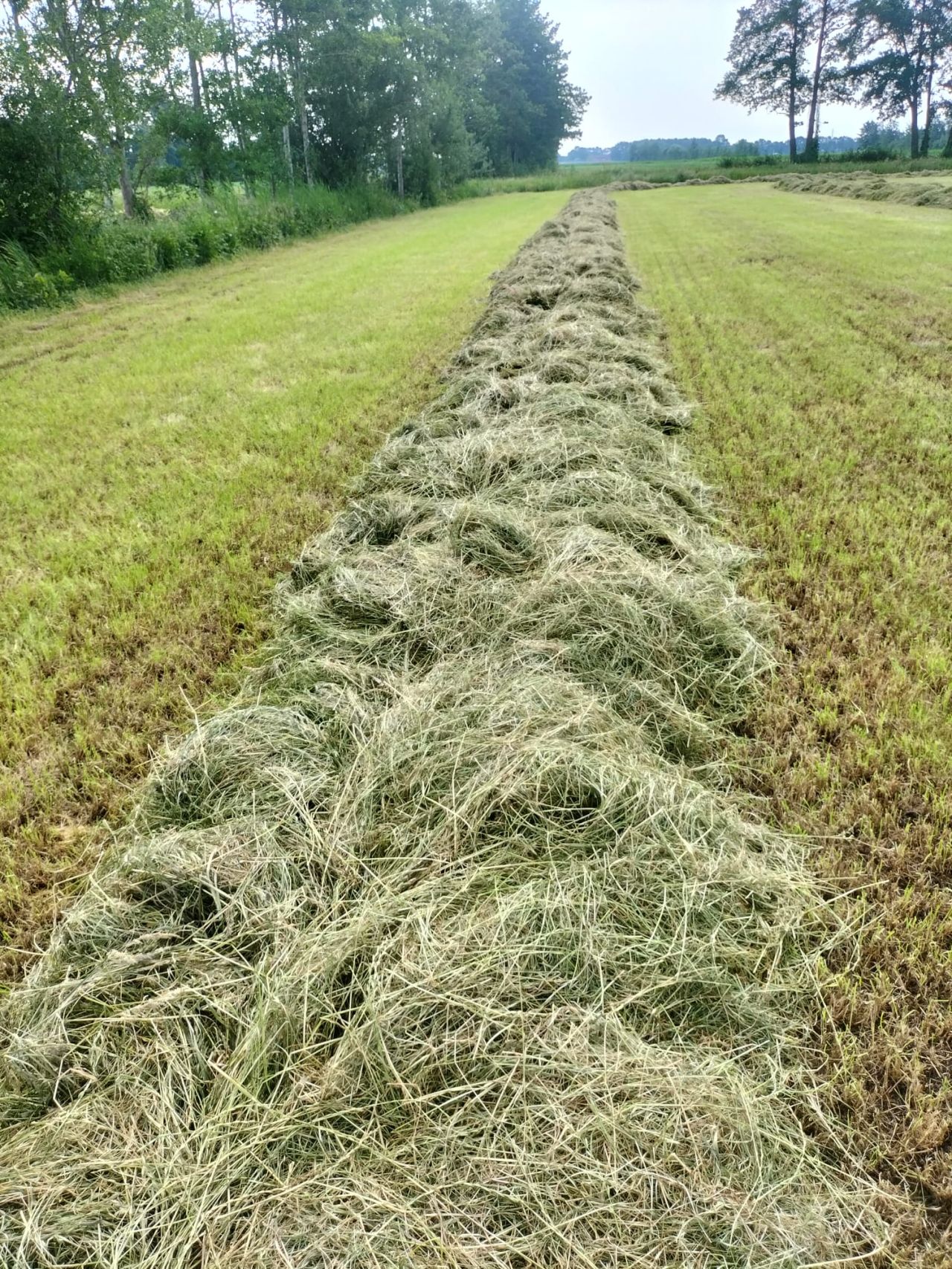 Talex Bocian 275 Zwadkeerder/Trommelschudder
