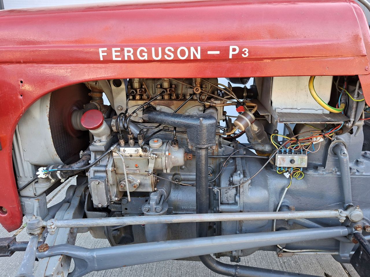 Ferguson Ted P3