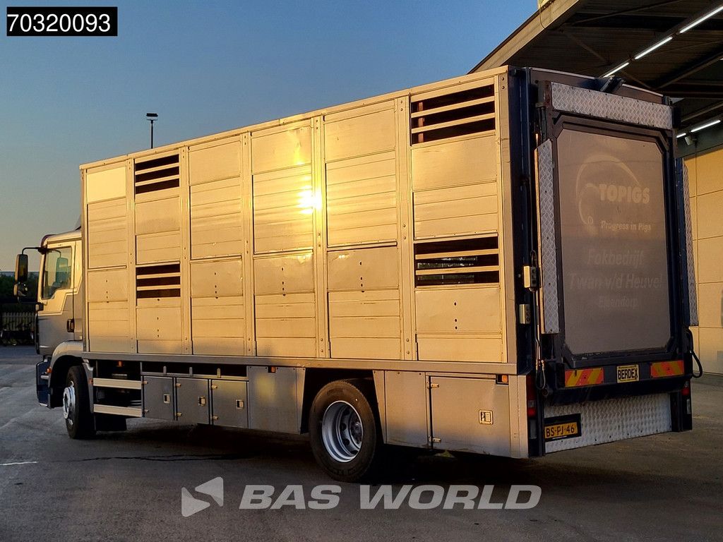 MAN N18 TGM 18.240 4X2 NL-Truck 2 decks cattle transport Manual Euro 4
