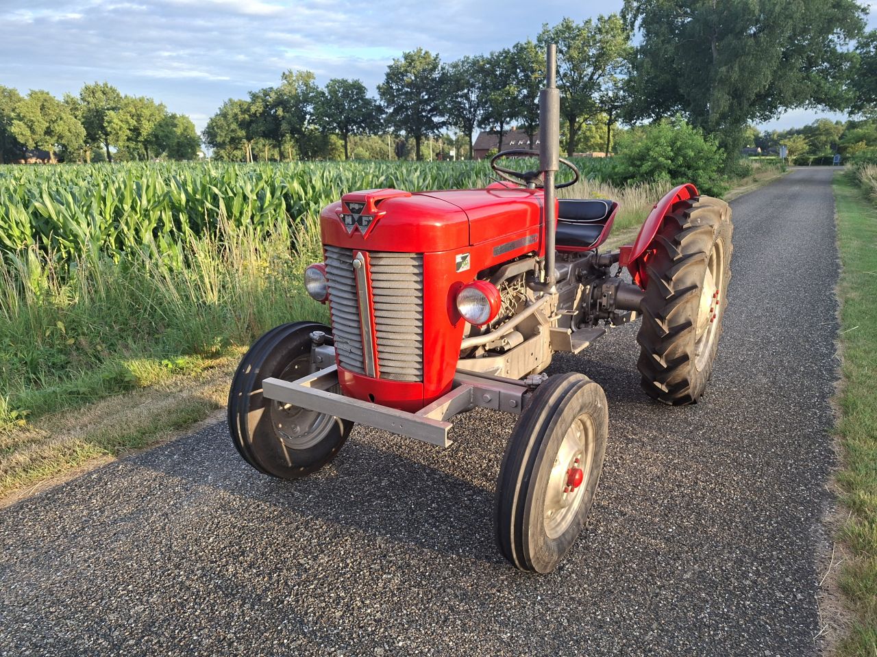 Massey Ferguson 25 | NL Kenteken | transport mogelijk