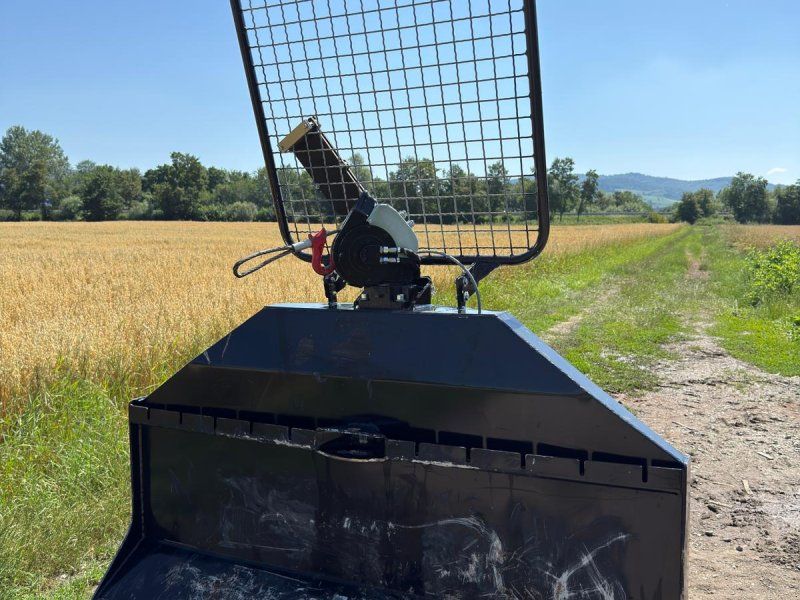 Ritter D 71