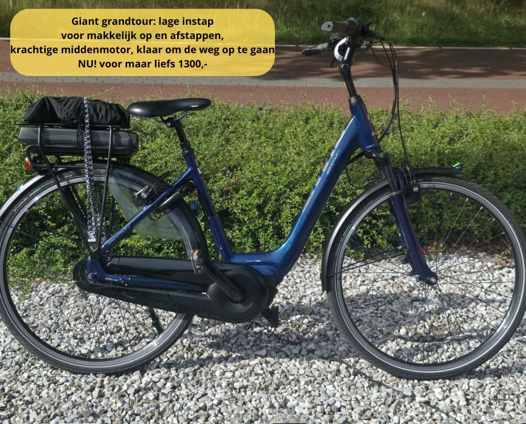 Elektrische fiets damesfiets herenfiets middenmotor
